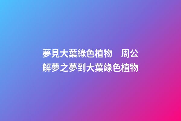 夢見大葉綠色植物　周公解夢之夢到大葉綠色植物
